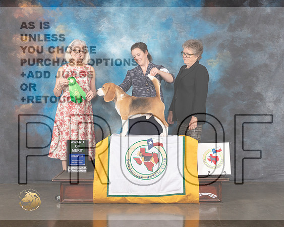 Beagle 15 #15 Wed AOM Judge Molly Martin-MMJ_0255-HOUSTON21-HR3