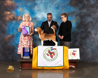 Beagle 15 #23 Wed WD Judge Molly Martin