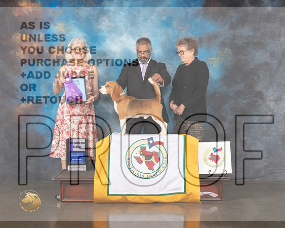 Beagle 15 #23 Wed WD Judge Molly Martin-MMJ_0263-HOUSTON21-HR3