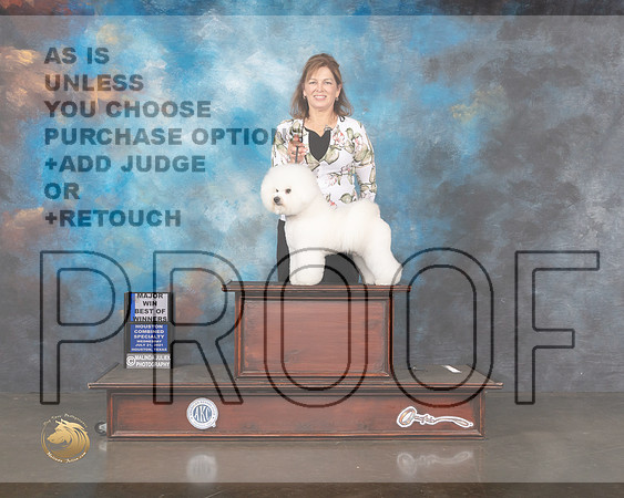 Bichon Frise #21 WD BOW Major Judge Helen Tomb Taylor-MMJ_0219-HOUSTON21-HR3