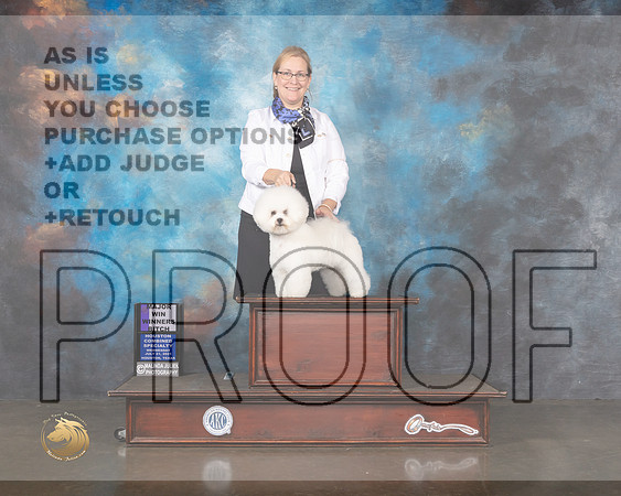 Bichon Frise #24 Wed WB Major Judge Helen Tomb Taylor-MMJ_0250-HOUSTON21-HR3