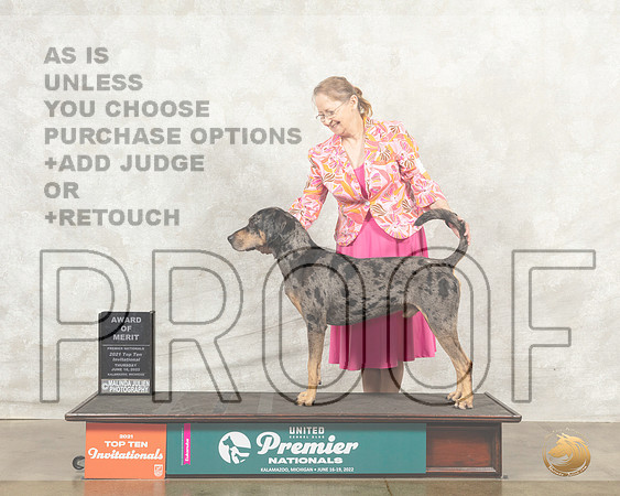 American Leopard Hound #211 Thur AOM Judge Diana Brumbaugh__MJ_7200_Premier_2022_HR3
