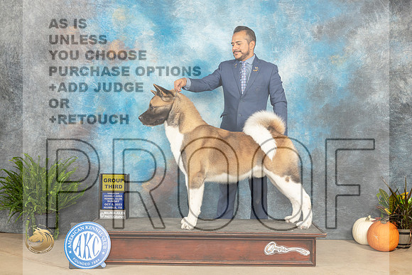 Akita #7 Sun G3 Judge Kim Meredith_JP_7527_Humble2023_HR3