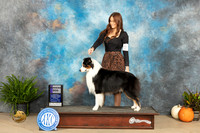 Australian Shepherd #19 Sun WD Judge Kimberly Meredith