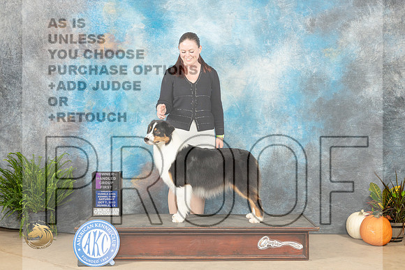Australian Shepherd #6 Sat OHG1 Judge Jon Titus Steele_JP_6857_Humble2023_HR3
