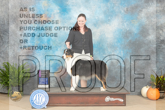 Australian Shepherd #6 Sat OHG1 Judge Jon Titus Steele_JP_6861_Humble2023_HR3
