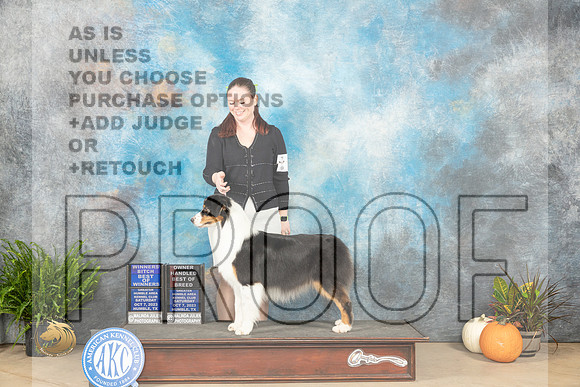 Australian Shepherd #6 Sat WBBOWOHBOB Judge Jon Titus Steele_JP_6338_Humble2023_HR3
