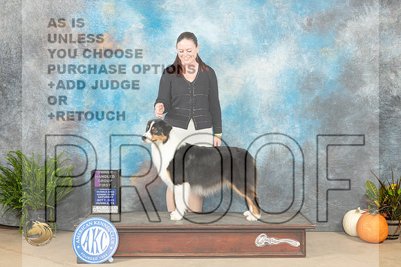 Australian Shepherd #6 Sat OHG1 Judge Jon Titus Steele_JP_6858_Humble2023_HR3
