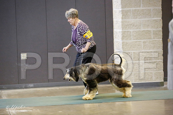 _JN_3981-BeltonJan2015-HR3