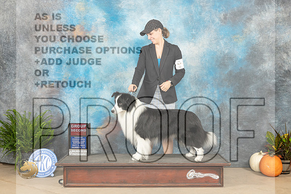 Border Collie #5 Sat G2 Judge Kim Meredith_JP_6781_Humble2023_HR3