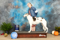 Borzoi #6 Sun WB Judge Kim Meredith