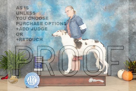 Borzoi #6 Sun WB Judge Kim Meredith_JP_6961_Humble2023_HR3