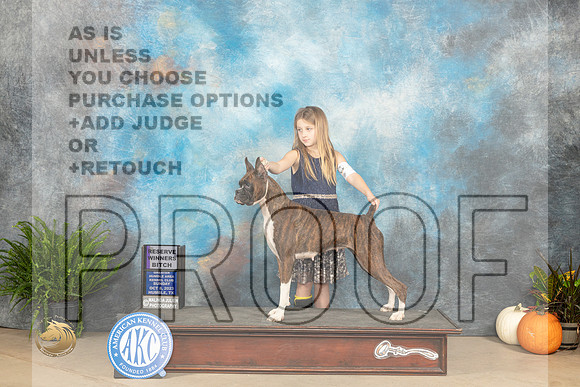 Boxer #10 Sun RWB Judge David Peat_JP_7288_Humble2023_HR3
