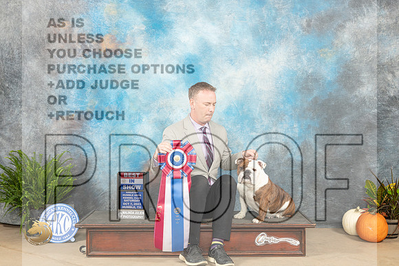 Bulldog #10 Sat BIS Judge Steve Keating_JP_6816_Humble2023_HR3