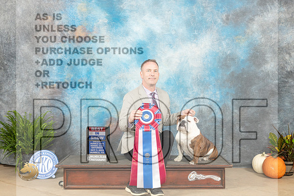 Bulldog #10 Sat BIS Judge Steve Keating_JP_6820_Humble2023_HR3