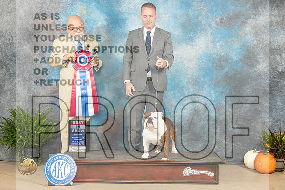 Bulldog #10 Sun BIS Judge David Peat_JP_7566_Humble2023_HR3