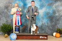Bulldog #10 Sun BIS Judge David Peat