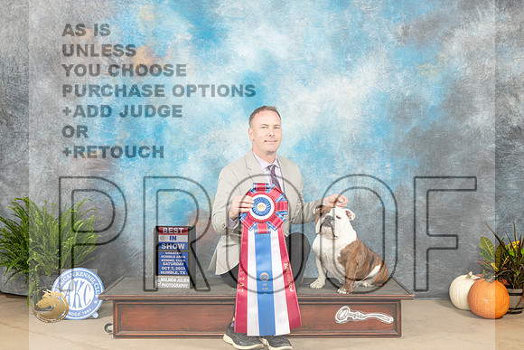 Bulldog #10 Sat BIS Judge Steve Keating_JP_6822_Humble2023_HR3