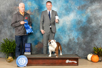 Bulldog #10 Sun G1 Judge Steve Keating