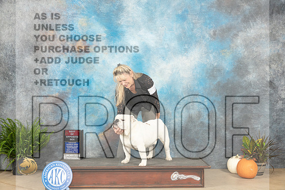 Bulldog #7 Sat BOS Judge Ron Horn_JP_6287_Humble2023_HR3