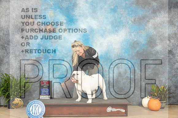 Bulldog #7 Sat BOS Judge Ron Horn_JP_6286_Humble2023_HR3