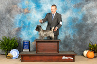 Cairn Terrier #6 Sat G1 Judge Pamela Peat