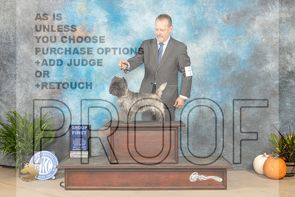 Cairn Terrier #6 Sat G1 Judge Pamela Peat_JP_6792_Humble2023_HR3