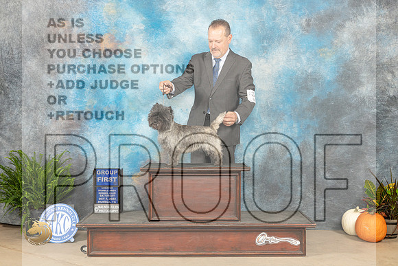 Cairn Terrier #6 Sat G1 Judge Pamela Peat_JP_6795_Humble2023_HR3
