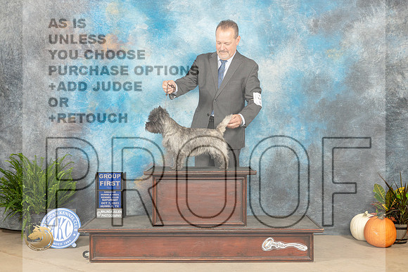 Cairn Terrier #6 Sat G1 Judge Pamela Peat_JP_6798_Humble2023_HR3