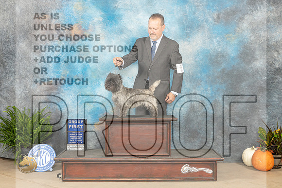 Cairn Terrier #6 Sat G1 Judge Pamela Peat_JP_6793_Humble2023_HR3