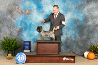Cairn Terrier #6 Sun G1 Judge Steve Keating