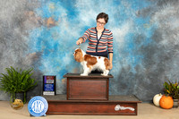 Cavalier King Charles Spaniel ? Sun WBBOS Judge Jon Titus Steele