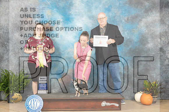 Chihuahua Smooth #602 Sat BJr Judge Kim Bettandorf_JP_6295_Humble2023_HR3