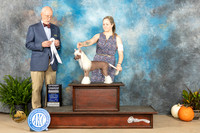 Chinese Crested #6 SAT G4 Judge Ronald Horn