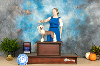 Chinese Crested #6 Sun G2 Judge Steve Keating