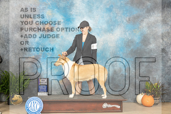 Collie Smooth #6 Sat BOBM Judge Steve Keating_JP_6348e_Humble2023_HR3