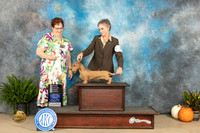 Dachshund Wiredhaired #6 Sun OHG4 Judge Pamela Peat
