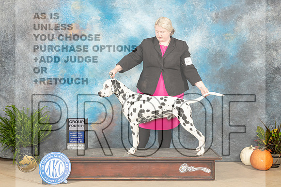 Dalmatian #9 Sat G4 Ronald Horn _JP_6593_Humble2023_HR3