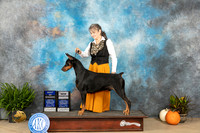 Doberman Pinscher #27 Sat BOWCH Judge Steve Keating