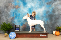 Dogo Argentino #? WBBOS Judge David Peat