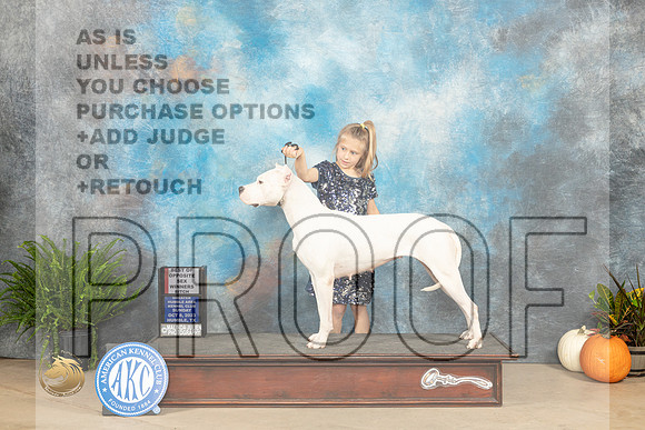 Dogo Argentino #? WBBOS Judge David Peat_JP_7040_Humble2023_HR3