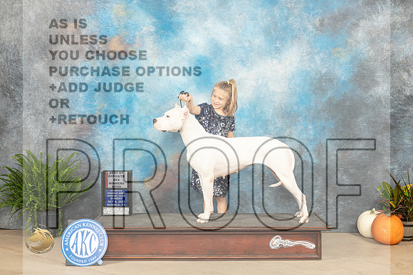 Dogo Argentino #? WBBOS Judge David Peat_JP_7041_Humble2023_HR3