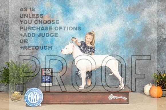 Dogo Argentino #? WBBOS Judge David Peat_JP_7044_Humble2023_HR3