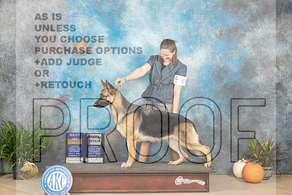 German Shepherd Dog #8 Sat WBBOB Judge Steve Keating_JP_6304_Humble2023_HR3