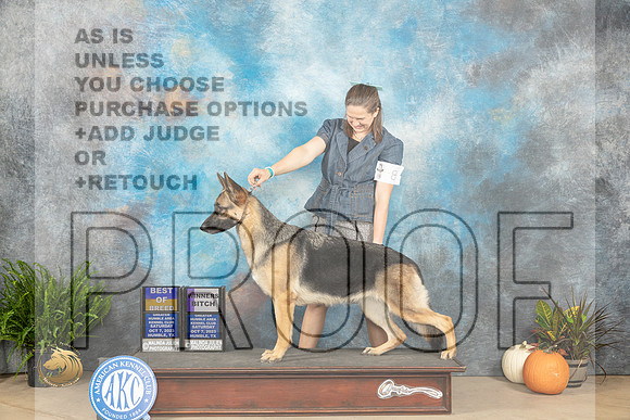 German Shepherd Dog #8 Sat WBBOB Judge Steve Keating_JP_6305_Humble2023_HR3