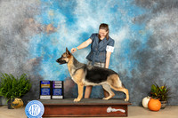 German Shepherd Dog #8 Sat WBBOB Judge Steve Keating