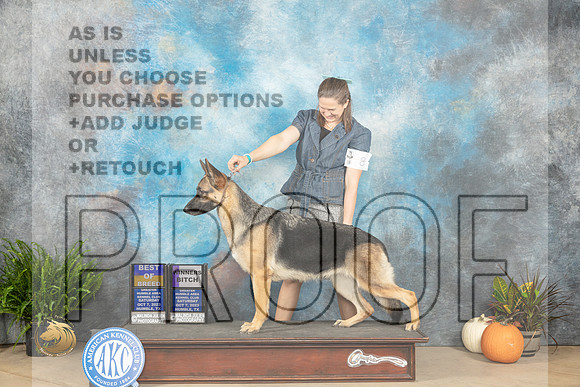 German Shepherd Dog #8 Sat WBBOB Judge Steve Keating_JP_6306_Humble2023_HR3