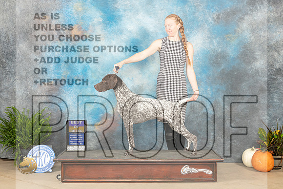 German Shorthaired Pointer #7 Sat BOB Judge Kimberly Meredith_JP_6760_Humble2023_HR3