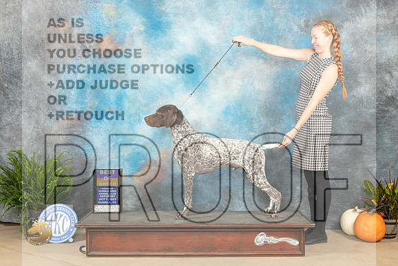 German Shorthaired Pointer #7 Sat BOB Judge Kimberly Meredith_JP_6768_Humble2023_HR3