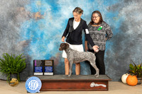 German Shorthaired Pointer #8 Sat OHG1 OHBronze Judge Ron Hornn